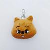 New Kpop Plush Keychain Korean Ide Pendant Toy Keychain Fan Collection Giftsol Plush Cartoon