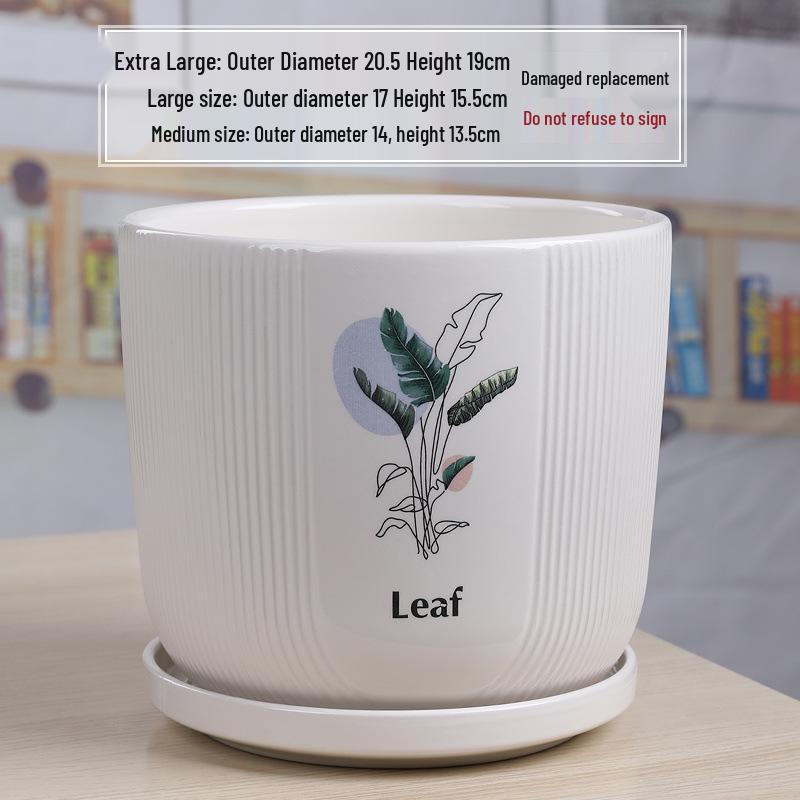 Simple White Ceramic Flower Pot with Base for Indoor Plants - Available in Large and Extra Large