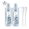 Professional Repair & Shine Shampoo & Conditioner Set