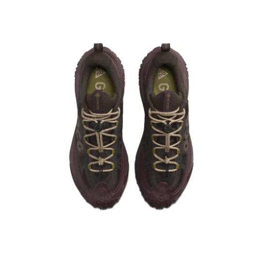 Nike ACG Mountain Fly 2 Low GORE-TEX Velvet Brown Men Sneakers HF6245-200