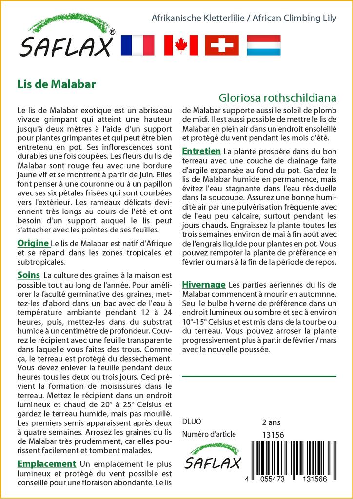 SAFLAX African Climbing Lily - 15 Seeds - Gloriosa Rothschildiana