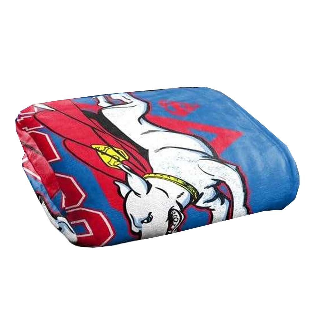 SUPERMAN Krypto Dog Dad Soft Touch Fathers Day Blanket
