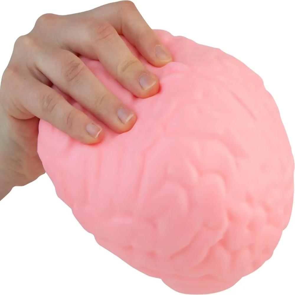 Slow Rising Brain Squishy Toy Moldable Big Brain Model Creative Fidget Toy for Adults Kids