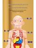 DIY Human Organ Model Kit: STEM Science Toys for Kindergarten Early Education