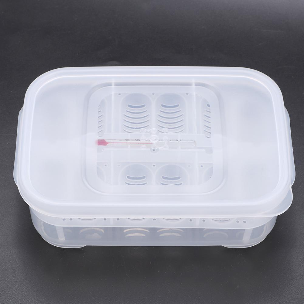Transparent Plastic Professional Gecko Snakes Lizards Reptiles Eggs Breeding Incubator Tray Hatcher Box