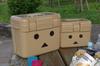 JEJ Astage 25L Cooler Made in Danbo Forest Crew W x 28cm D x 36cm Box, Japan, #25 [47.5cm H]