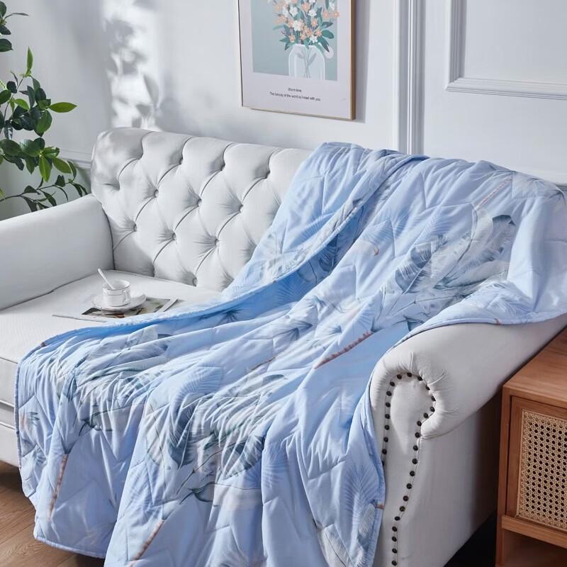 Donald Home Textiles Premium Brushed Summer Quilt