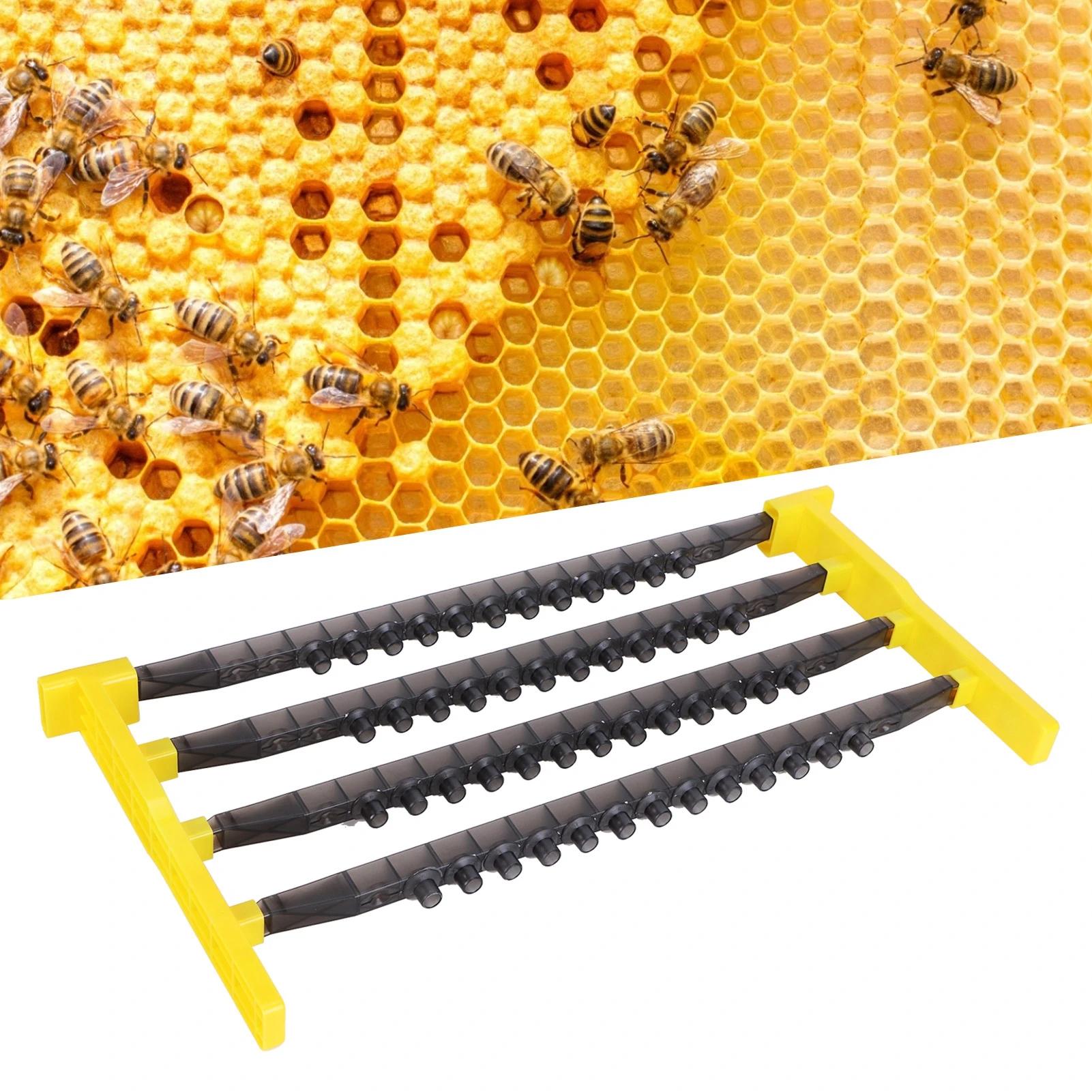 Kit Tazze Cellulari per Api Sistema di Allevamento della Regina Gabbia per Allevamento Regina Apicoltura Forniture per Apicoltura