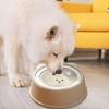 Köpek – Köpek Besleme ve Sulama Malzemeleri