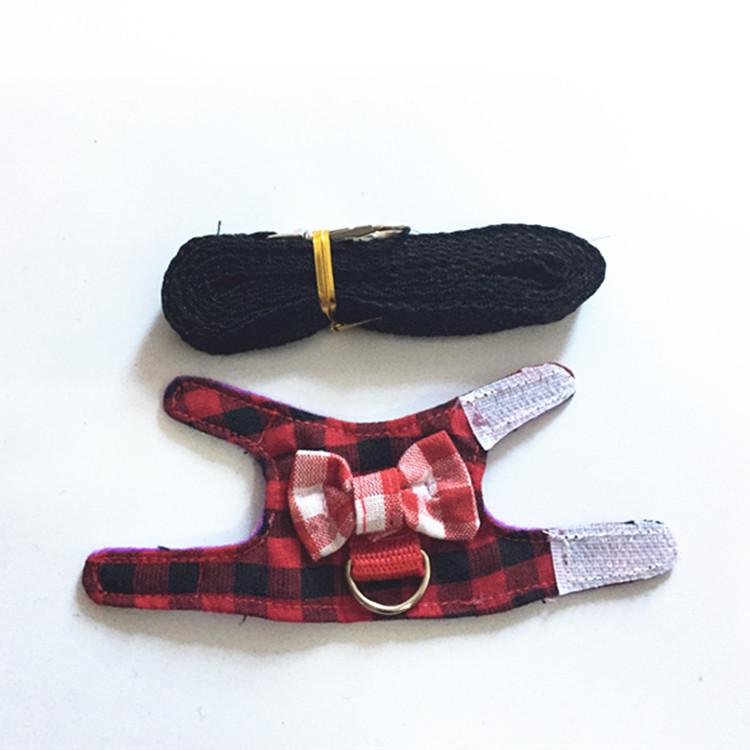 Adjustable Leash and Harness for Small Pets: Rabbit, Chinchilla, Ferret, Squirrel, Hamster, Guinea Pig, Mouse