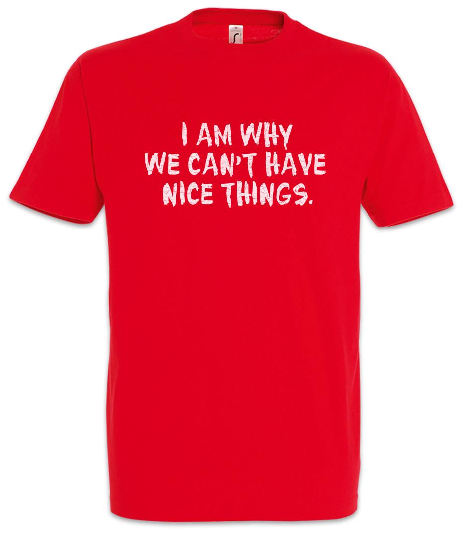I Am Why We Can t Have Nice Things T-Shirt Kids Kid Boys Girls Family Fun Money S