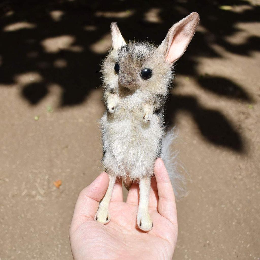 BH7497 HANSA Jerboa 19
