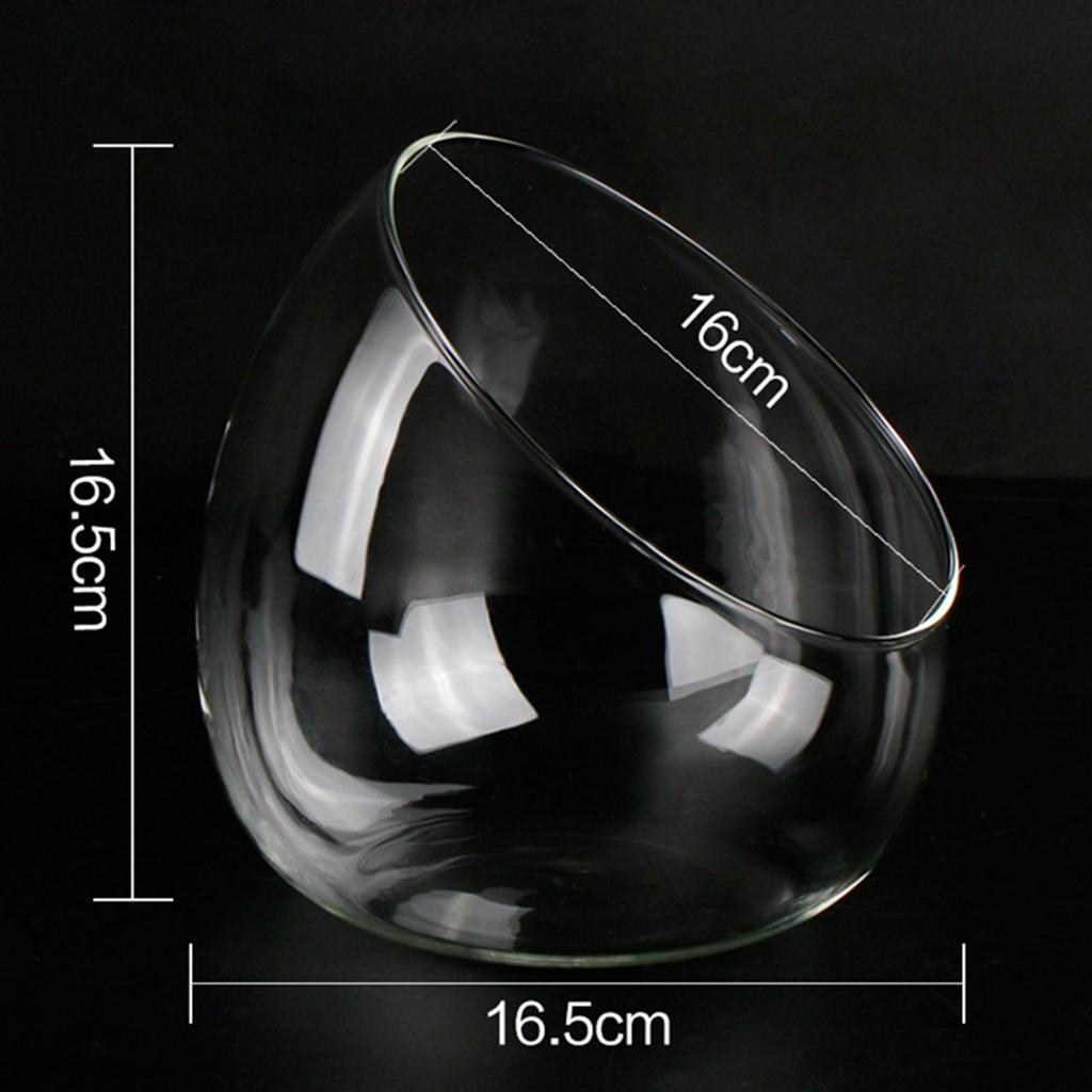 Slant Cut Bowl Glass Vase Micro Landscaping Container Glass Terrarium Bowl for Decoration Party Garden Centerpiece Wedding