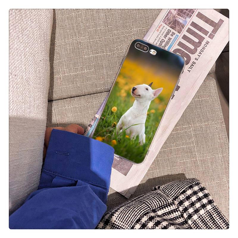 Bullterrier Bull Terrier Dog Phone Case For iPhone 13 X XS MAX 6 6s 7 7plus 8 8Plus 5 5S Se 2020 XR 12 11 Pro Max Fundas Capa