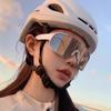 European and American Outdoor Sports Cycling Silver Glasses, Mountaineering Night Riding Sunglasses, Integrated Protective Windproof Goggles,