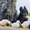 3 Pieces Resin Duck Statue Adorable Garden Ornament HandPainted for Courtyard, Pond