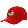 Adjustable Baseball Cap with 250 Years Print Casual Unisex Hat Structured Brim Embroidered Graphic Comfortable Fit for Daily Wear