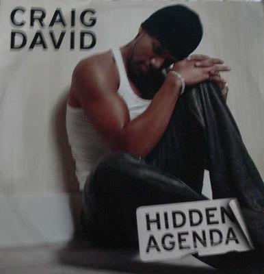 12inch Record CRAIG DAVID - Hidden Agenda TWR00610 Wildstar Record 2002 UK Dance & Electronica Used