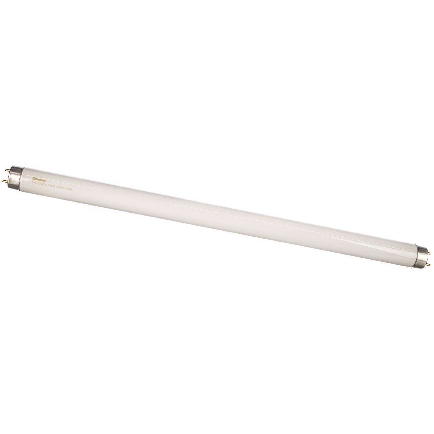 

Set Of Fluorescent Light Bulbs Camelion Ft8 15w 33 Cool Light 4200k 10pcs