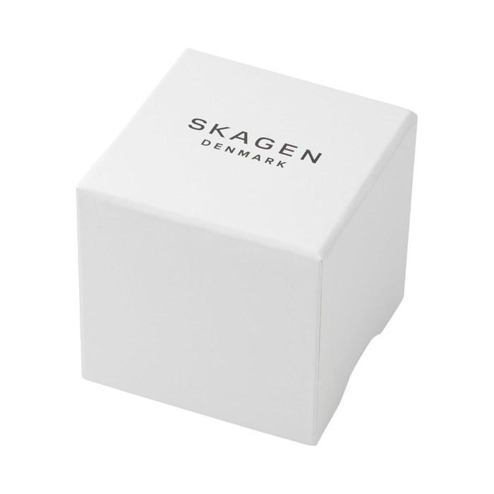 Skagen Watch HAGEN MICRO SKW3147 Women's Silver