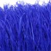 Feather1 Bundle Piume di Struzzo Naturali Filo Colorato 10-15/15-18CM Piumaggio Soffice Per Abiti Borsa Decorazione Artigianato Cucito