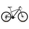Feige 26-inch 21-Speed Mountain Bike