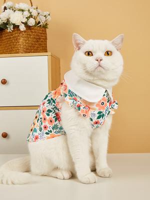 Roupa e sapatos – Vestidos para cães