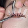 Camellia Eyelash Extensions: U-shaped Fox-like Comic Style, Baby Curl for Beautiful Lashes
