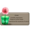 Science Experiment Crystal Planting Diy Creative Flower Shaped Crystal Tree Fun Parent-Child Experiment Set
