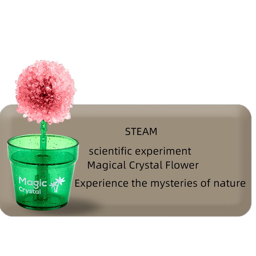 Science Experiment Crystal Planting Diy Creative Flower Shaped Crystal Tree Fun Parent-Child Experiment Set