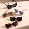 1PCS Women Plastic Large Cat Eye SunGlasses For Daily School Beach Travel Party Clothing Accessories