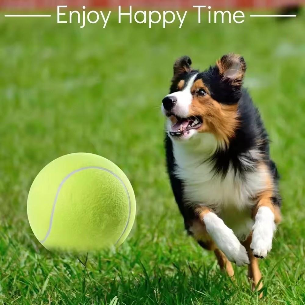 Durable Pet Playing Balls Non-Toxic Practice Ball New Tennis Balls  Tennis Club