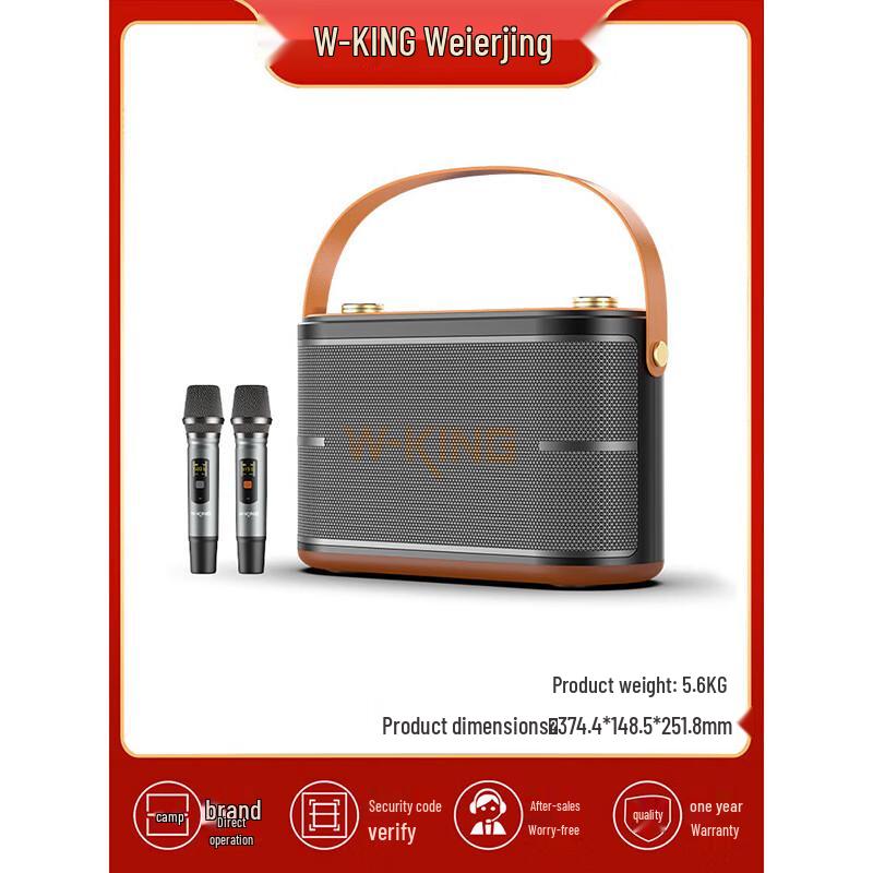 W-King H10II Portable HIFI Karaoke Bluetooth Speaker CN Plug (adapter Included)