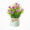 Plastic Artificial Flower Bonsai Fake Plant Flowers Potted Ornament Simulation Succulents Evergreen Bonsai Desktop Decoration
