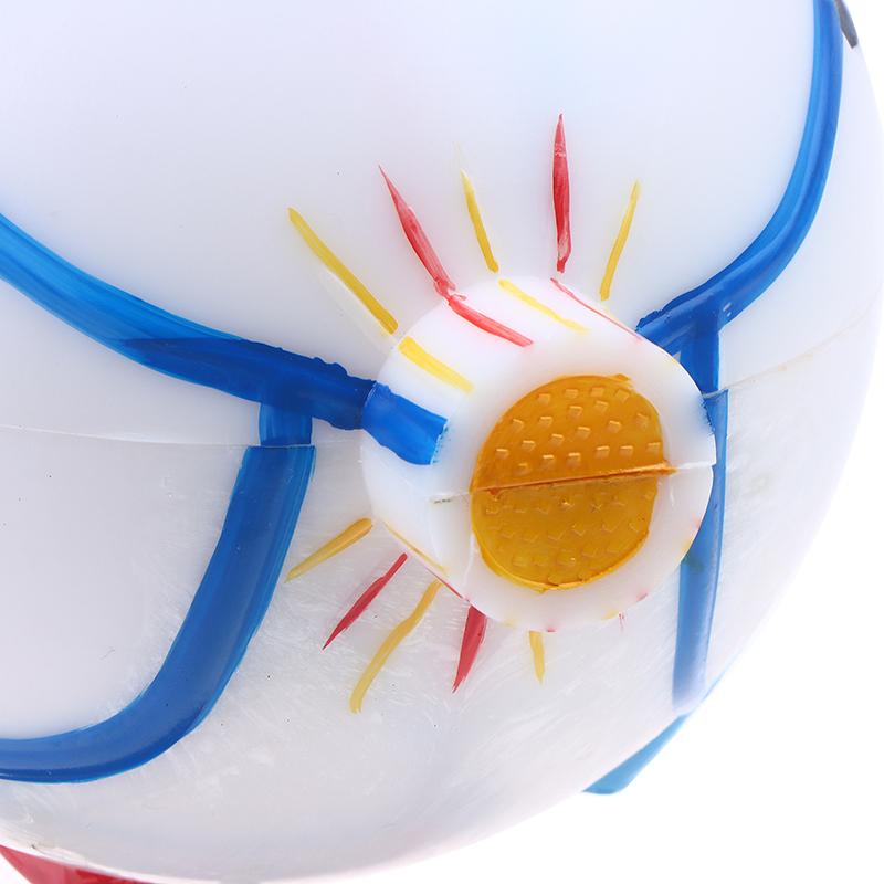 Eyeball Anatomy Model For Eye Diseases Study, 6X Human Eye Anatomy Model Eye Anatomy Model Human Organs Teaching Prop