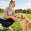 Small Portable Pet Bottle with Silicone Bowl - Outdoor Travel Dispenser for Dogs Cats