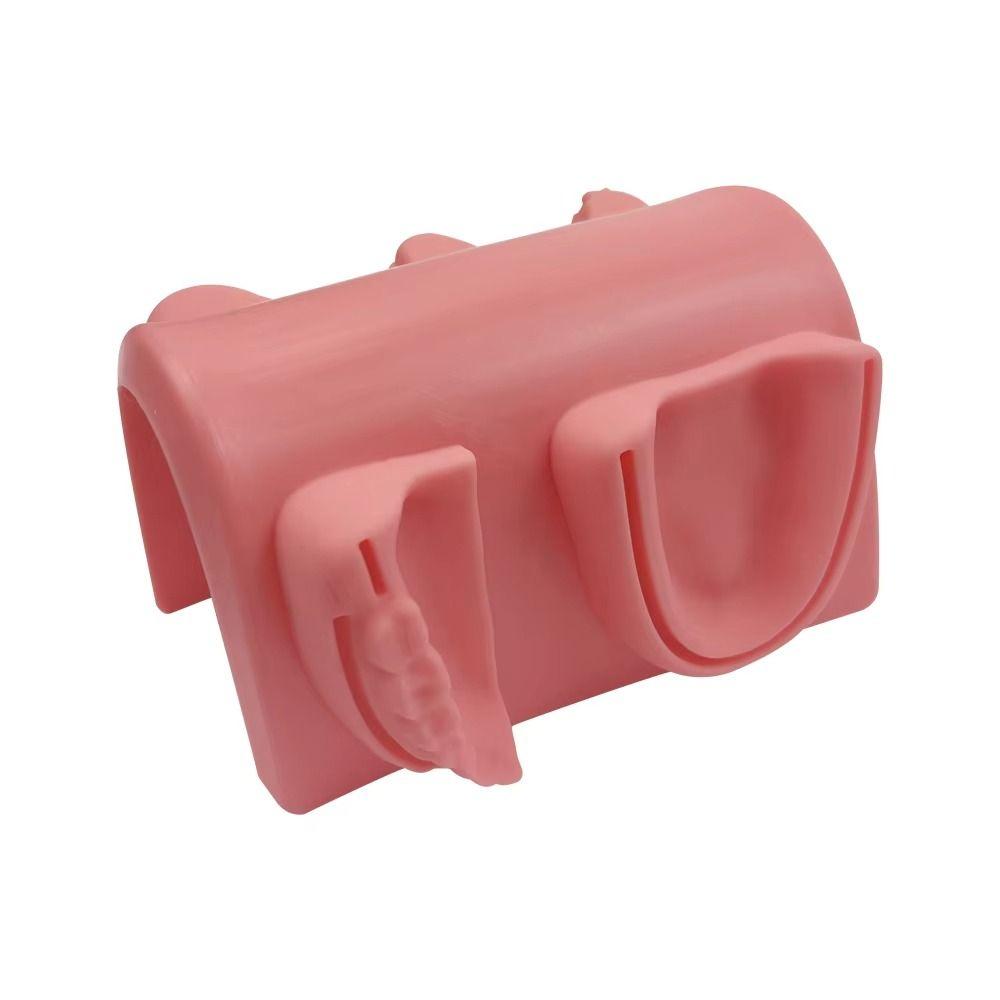 Silikon Zahnlehrmodell 4 Wundtypen Gingivale Naht Trainingsmodell Für Zahnarztunterricht