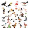 Plastic Peacock Phoenix Mallard Turkey Toucan Kiwi Bird Stork Model Toy Forest Animals Action Figure Animal Figurines Kids Gifts