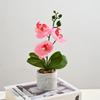 Artificial Orchid Flowers Potted Flowers Artificial Flowers Artificial Phalaenopsis Artificial