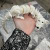 3D Printed Lucky Dragon Figurine Opening Mouth Perfect for Living Room Bedroom Decor Unique Holiday Gift Idea Tabletop Ornament