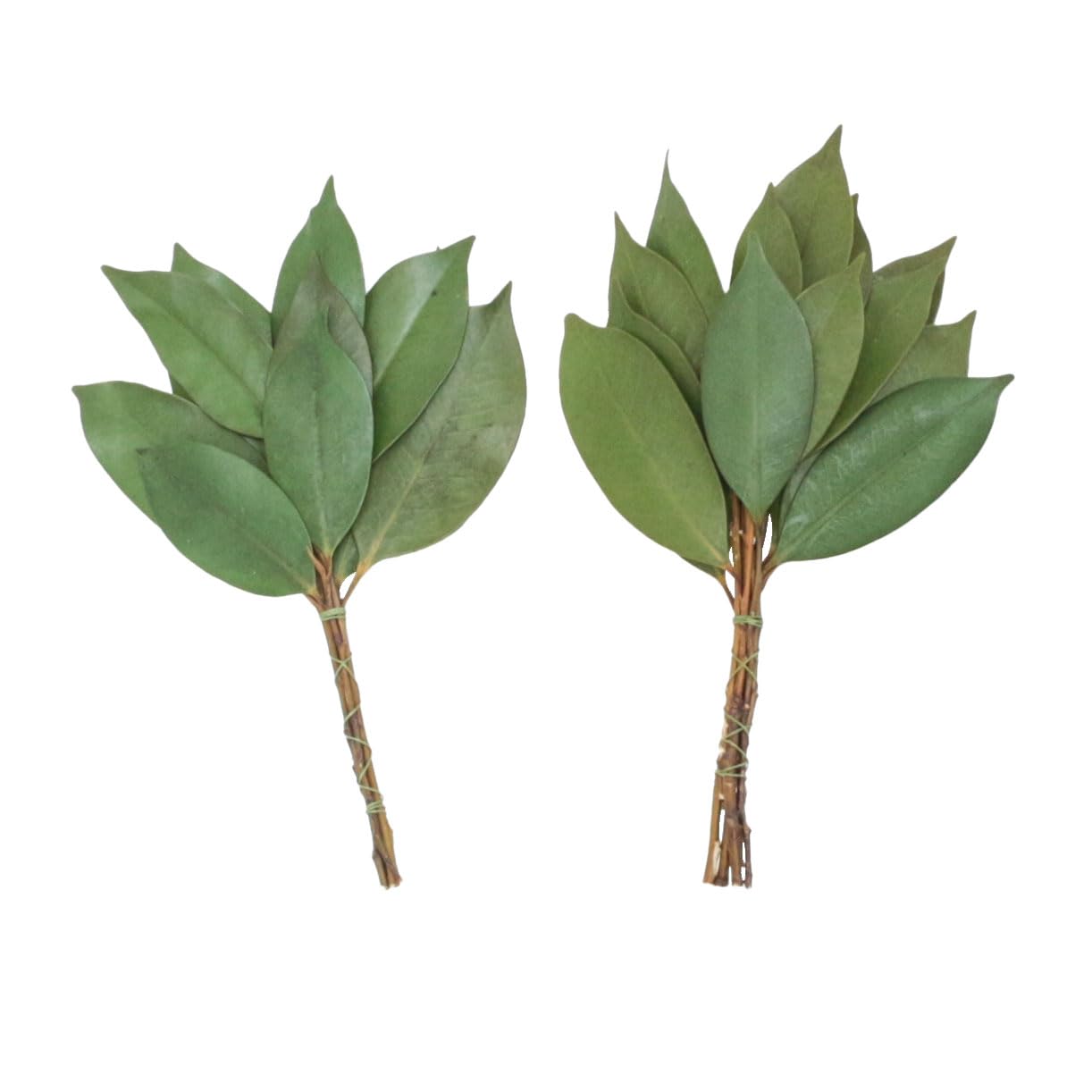 

Kamidana no Sato: Preserved Sakaki Trees, Mini Pair, Small, Modern, Long-Lasting, Replacement, for Shinto Shrines