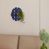 Geometric Eyes Oval Shelf Black
