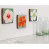 Tesa Hook Hanger Self-Adhesive Nail Up to 1kg Pictures Photo Decorations 2 Pcs