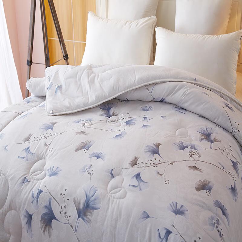 

Hengyuanxiang HYX015BZ Pearlescent Print Spring/Autumn Quilt