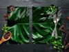 PIANO PROTETTIVO IN VETRO PER PIANO COTTURA 70x52 MONSTERA