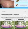 Automatic Quick-Open Mosquito-Proof Hammock with Parachute Cloth for Outdoor Camping (Single/Double)