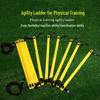 Agility Training Ladder