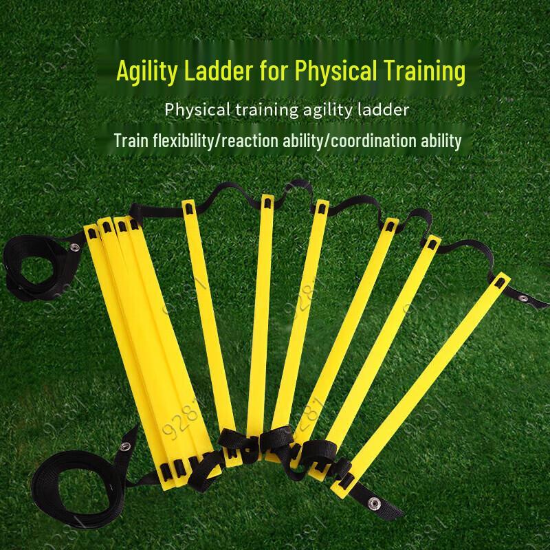 Agility Training Ladder