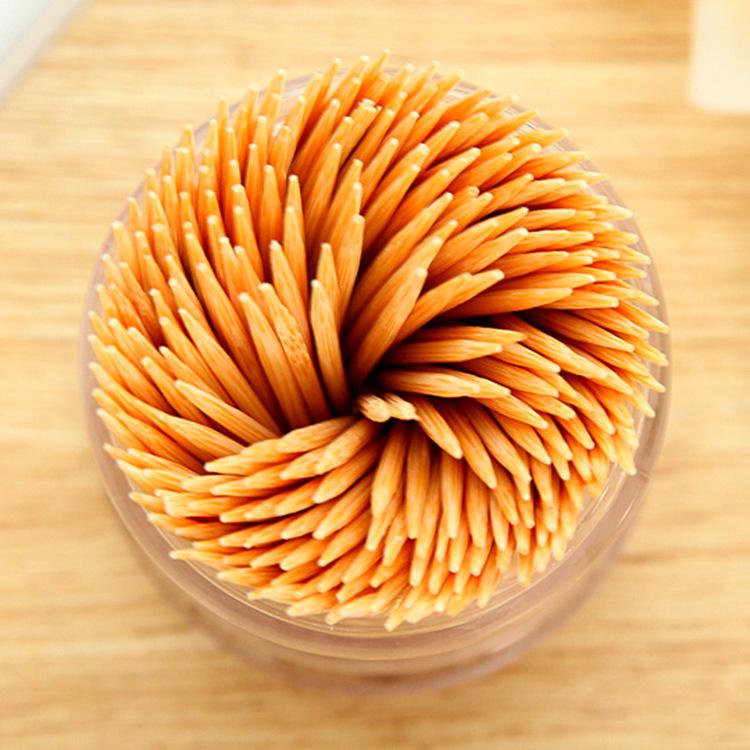 Stuzzicadenti portatile monouso a due teste