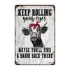 Vintage Rolling Eyes Tin Sign Retro Wall Decor Man Cave Pub Art